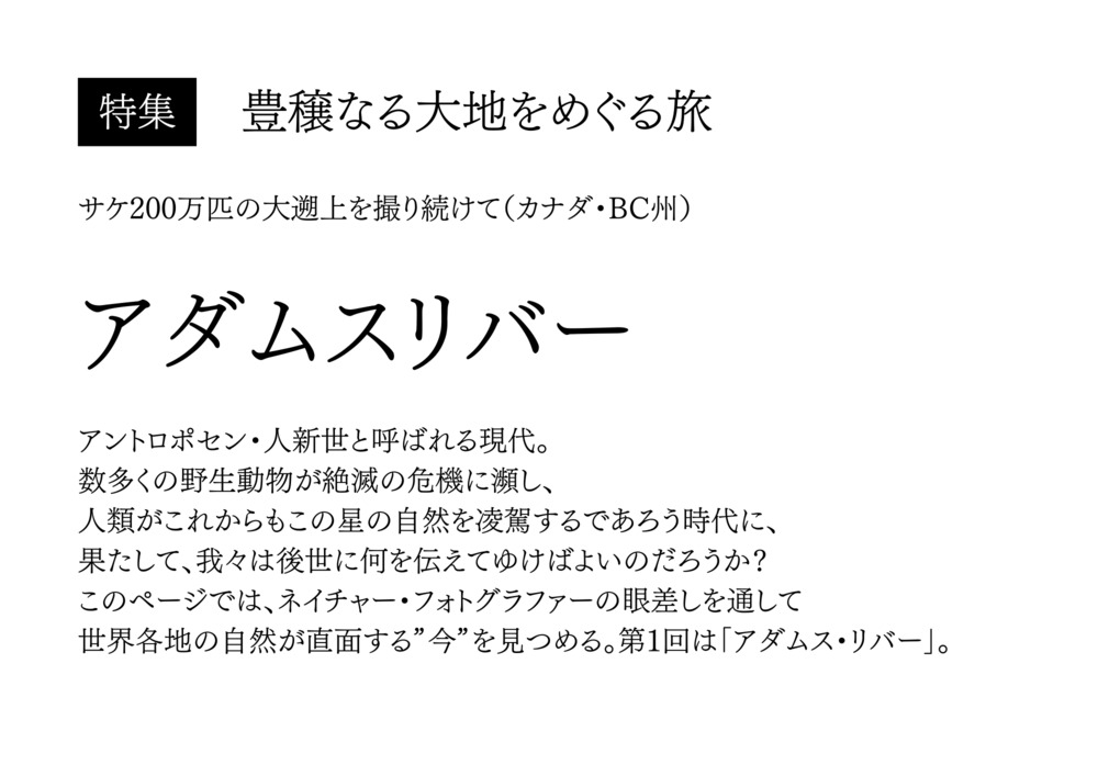 アダムスリバー｜合同会社モジップ